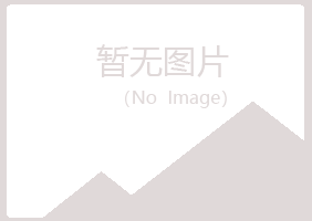 鲁山县平庸能源有限公司